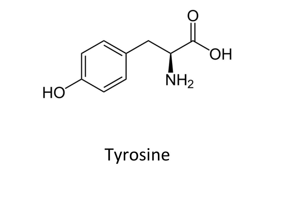 Tyrosin Zxcvbnmqwert