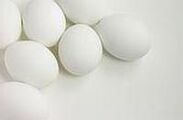 egg